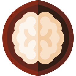 Walnut icon