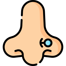 Nose icon