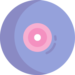 vinyl icon