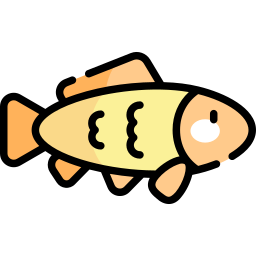 Carp icon