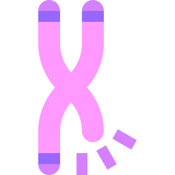 cromosoma icono