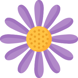 aster icon