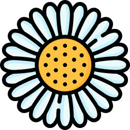 Daisy icon