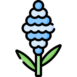 giacinto icona