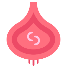 Onion icon