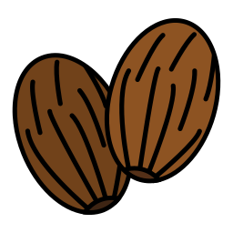 Nutmeg icon