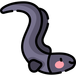 Eel icon