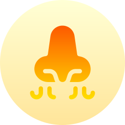 atmung icon