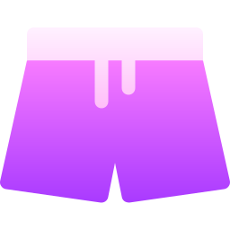 shorts Icône