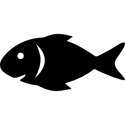 pesce crudo icona