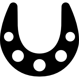 Lucky horseshoe icon