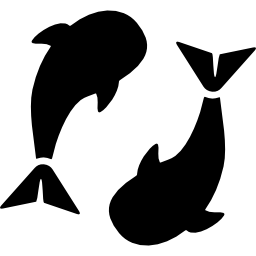 Whales swimming icon