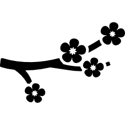 Cherry blossom icon