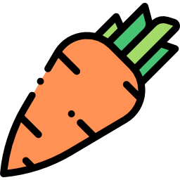 Carrot icon