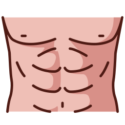 腹部 icon