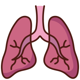 pulmones icono