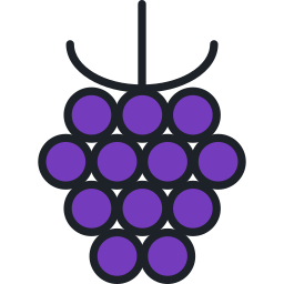 Blackberry icon