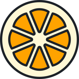 Orange slice icon