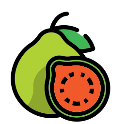 Guava icon