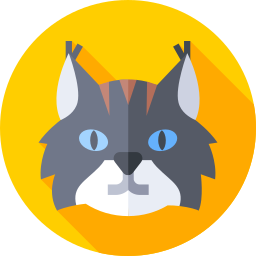 Норвежский лесной кот иконка