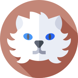랙돌 고양이 icon