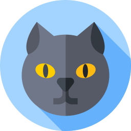 British shorthair cat icon