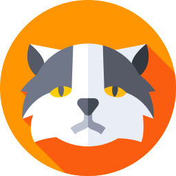 ヒマラヤン猫 icon