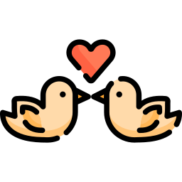 pássaros do amor Ícone