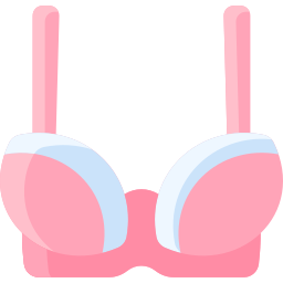 Bra icon