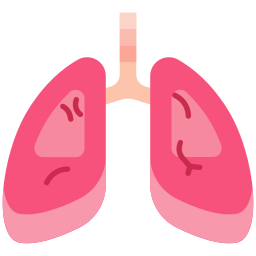 pulmones icono