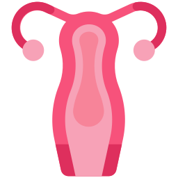 utérus Icône