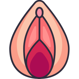vagina icona