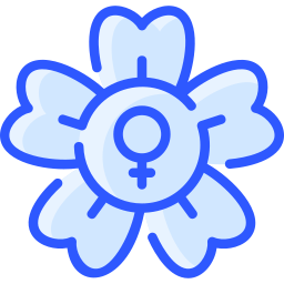 blume icon