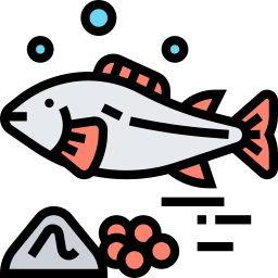 鮭 icon