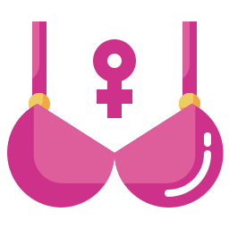 Bra icon