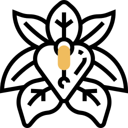 eritrina icona