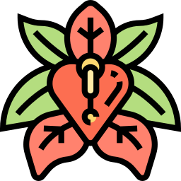 eritrina icono
