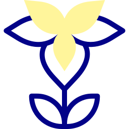 iris icon