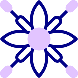 spinnenblume icon