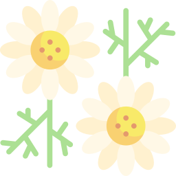 Chamomile icon