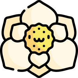 magnolie icon