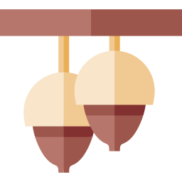 Acorn icon