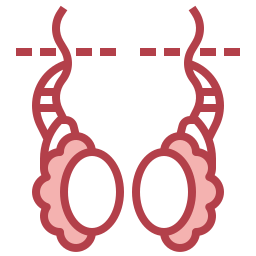 vasectomie Icône