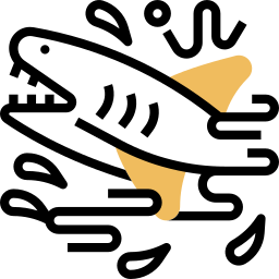 Shark icon