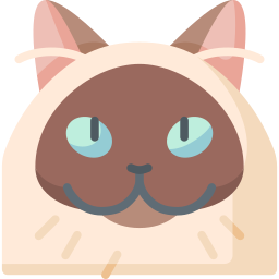Himalayan cat icon