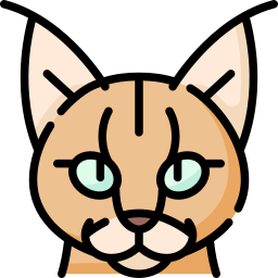 Caracal icon