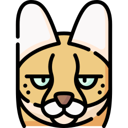 serval icoon