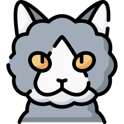 셀커크 렉스 고양이 icon