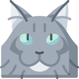 Maine coon icon