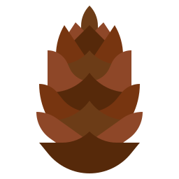 Pine cone icon